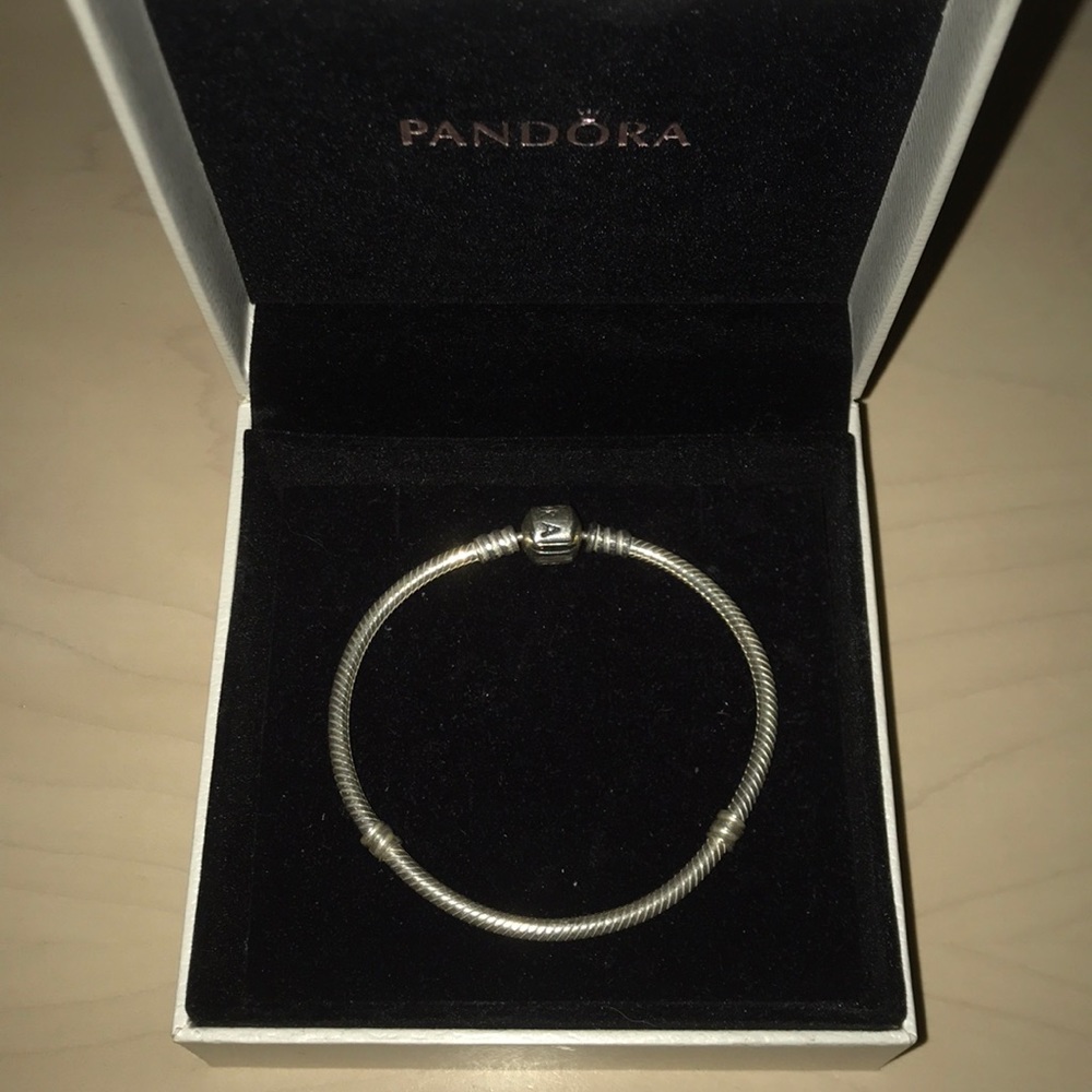 Pandora “Iconic Silver Charm Bracelet”